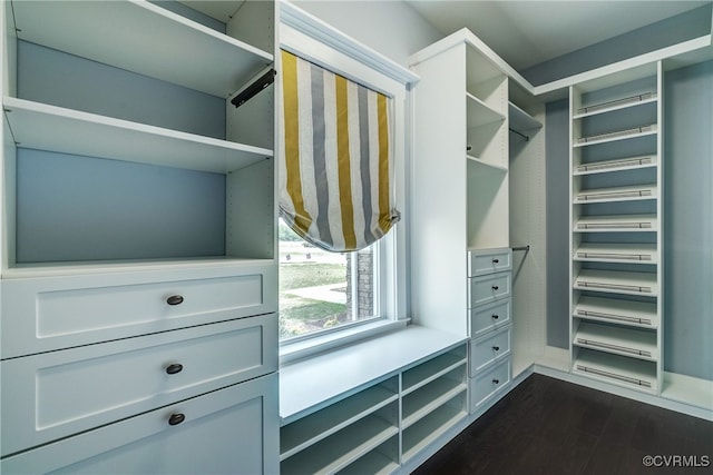 spacious closet with dark hardwood / wood-style flooring