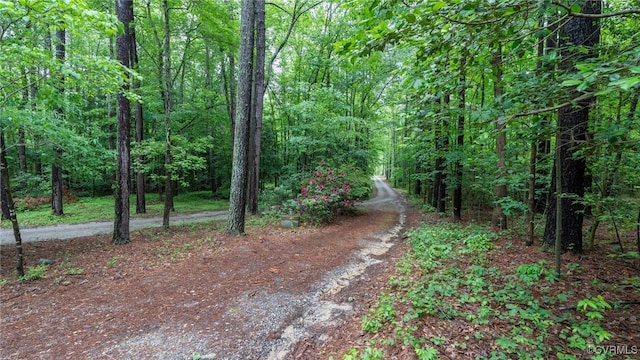 view of road