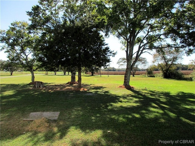 1934 Farley Park Rd, Middlesex, VA 23032 - view of green lawn