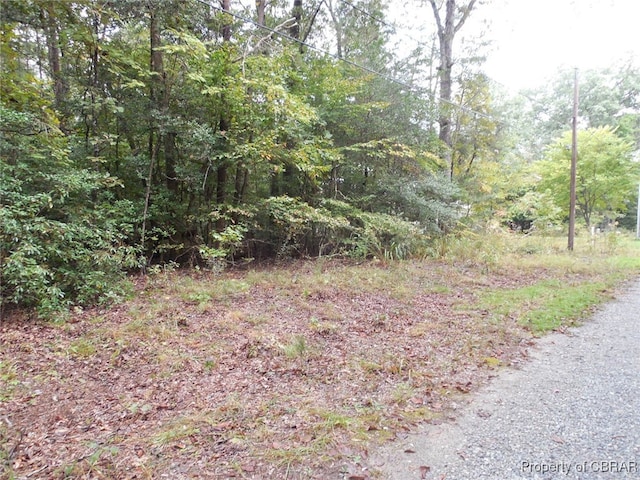 0000 Pine Trl, Gloucester VA, 23061 land for sale