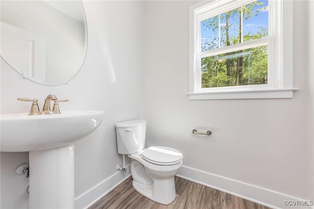 bathroom featuring hardwood / wood-style flooring, sink, and toilet