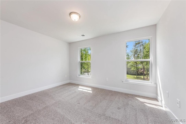 spare room featuring carpet floors and a wealth of natural light