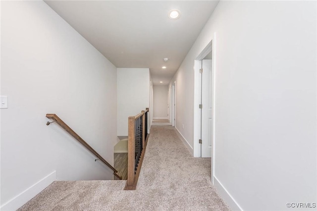 staircase featuring carpet flooring