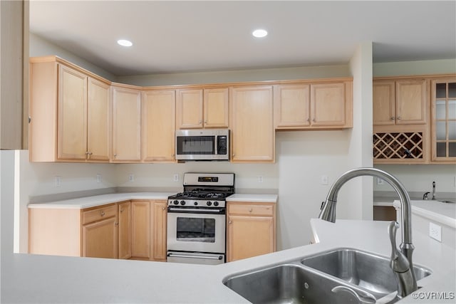 kitchen featuring sink, light brown cabinets, and appliances with stainless steel finishes