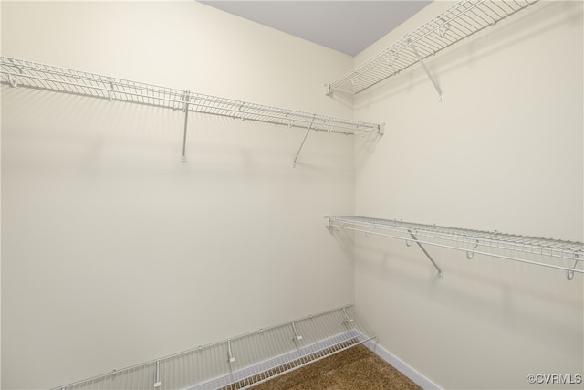 walk in closet with carpet flooring