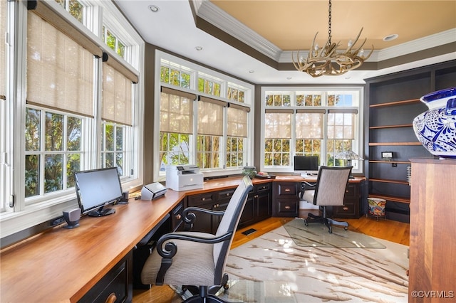 office with light hardwood / wood-style floors, ornamental molding, and plenty of natural light