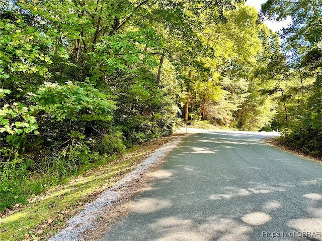 LOT63 Wilton Coves Dr, Hartfield VA, 23071 land for sale