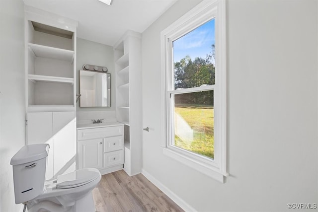 bathroom with vanity, wood-type flooring, and toilet