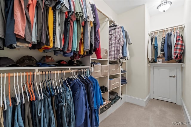 walk in closet with carpet