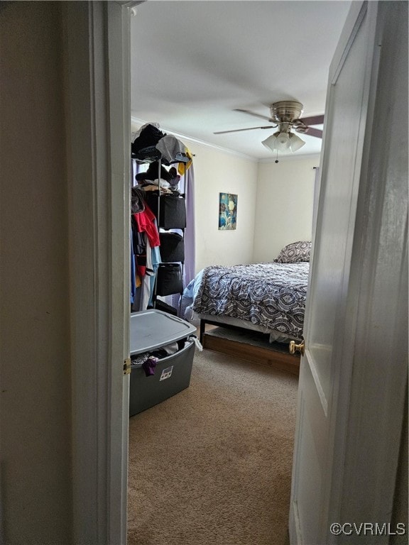 carpeted bedroom with ceiling fan and crown molding