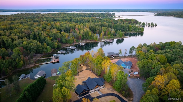 bird's eye view with a water view and a view of trees