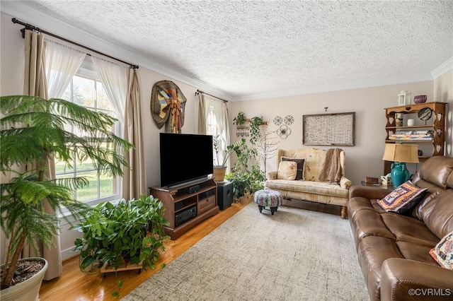 living room featuring a textured ceiling, light wood-type flooring, and ornamental molding