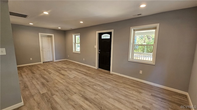 interior space featuring light wood-type flooring and plenty of natural light