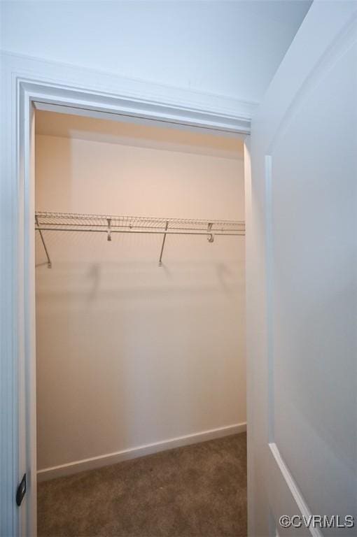 view of closet