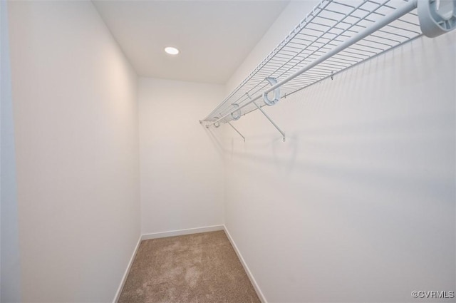 spacious closet with carpet