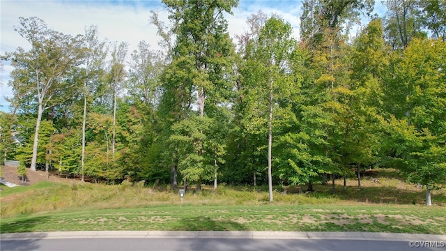 Listing photo 2 for 924 Kinloch Point Ln, Manakin Sabot VA 23103