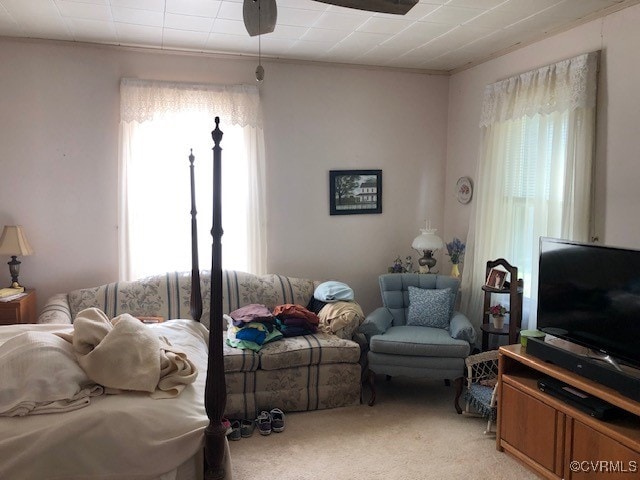 living room featuring a wealth of natural light and light colored carpet