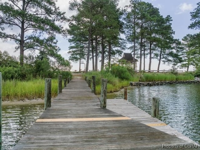 dock area with a water view