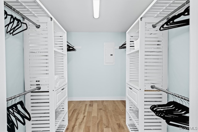 walk in closet featuring light hardwood / wood-style flooring and electric panel