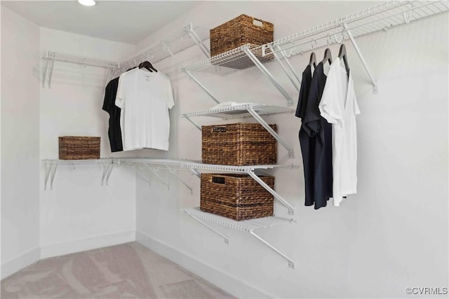 walk in closet featuring carpet