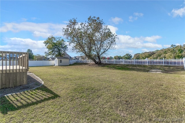 view of yard with a storage shed