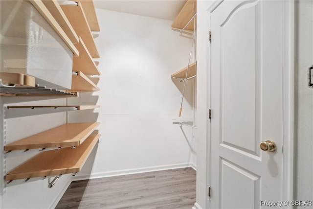 spacious closet with hardwood / wood-style floors