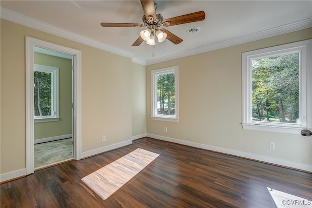 spare room with a wealth of natural light, crown molding, dark hardwood / wood-style floors, and ceiling fan