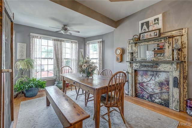 dining room featuring light hardwood / wood-style flooring, a healthy amount of sunlight, and ceiling fan