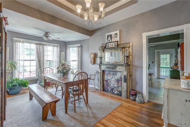 dining area featuring crown molding, a tray ceiling, wood-type flooring, and ceiling fan with notable chandelier