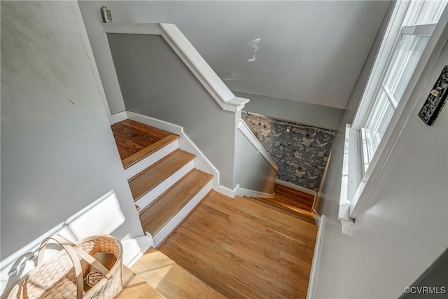 staircase with hardwood / wood-style flooring