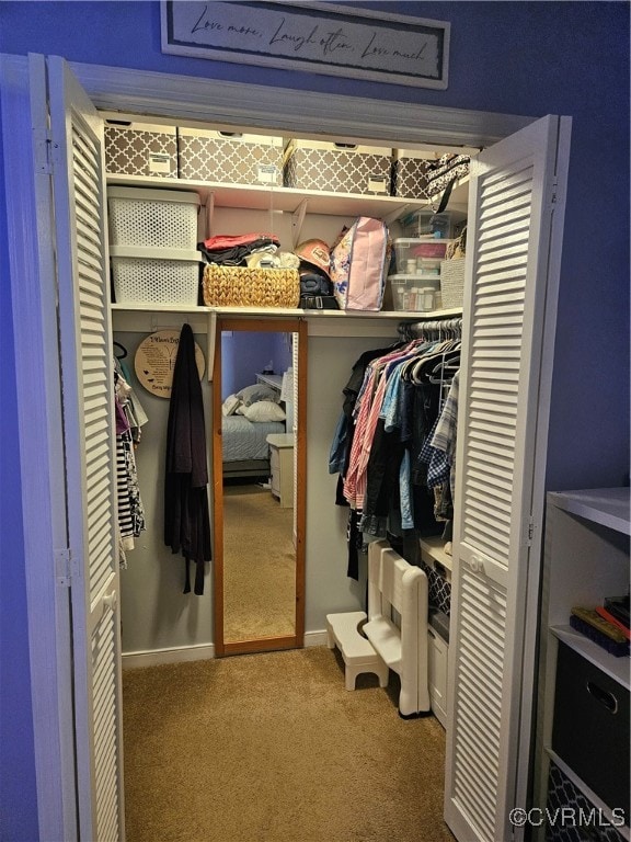 view of closet