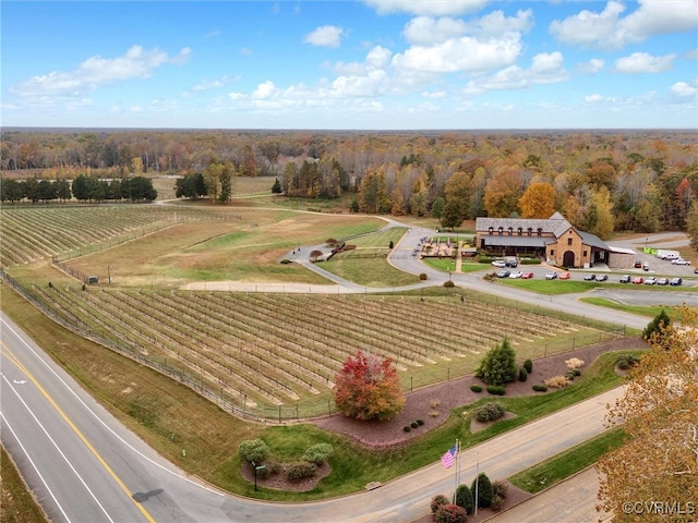 bird's eye view featuring a rural view