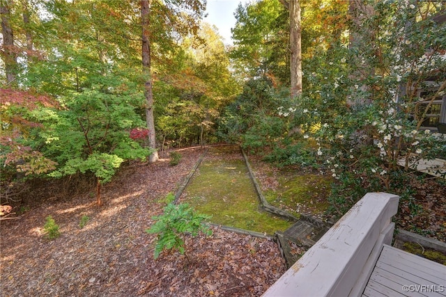 222 W Queens Dr, Williamsburg, VA 23185 - view of yard