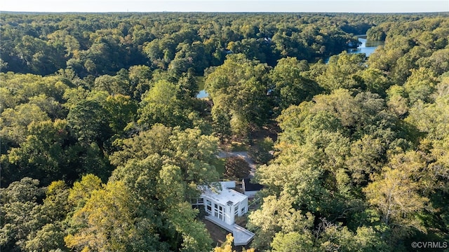 222 W Queens Dr, Williamsburg, VA 23185 - aerial view of a forest and a large body of water