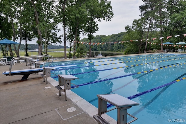 view of pool featuring a patio