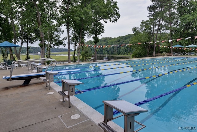222 W Queens Dr, Williamsburg, VA 23185 - view of community pool