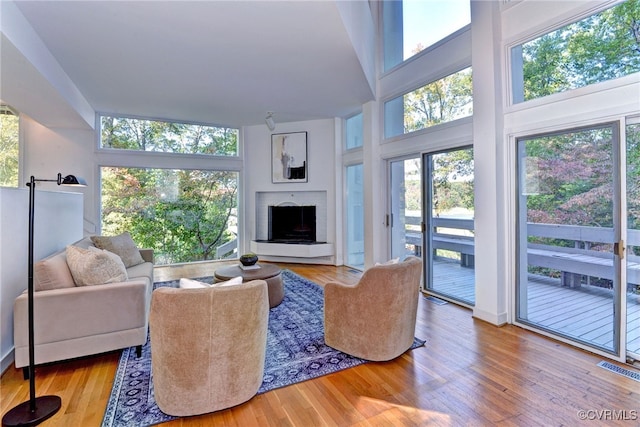 living room featuring hardwood / wood-style flooring, a high ceiling, and plenty of natural light