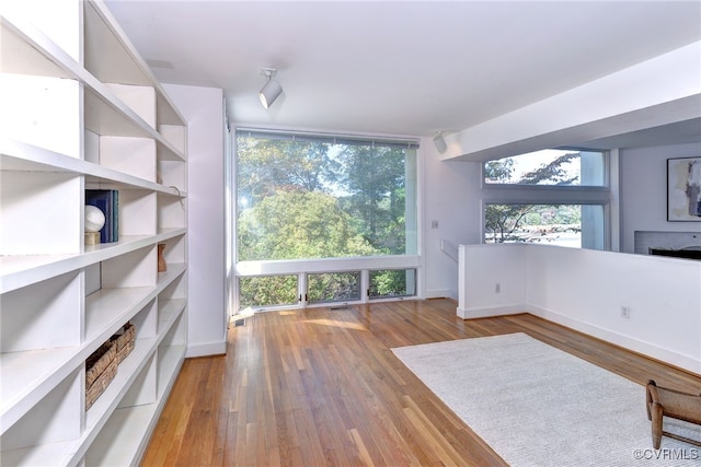 interior space featuring hardwood / wood-style floors and a wall of windows