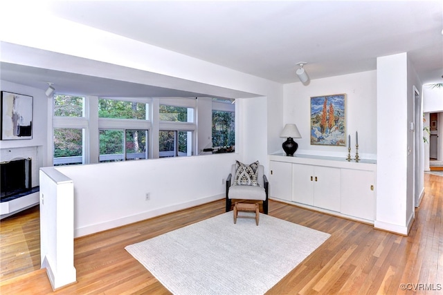 sitting room featuring a healthy amount of sunlight and light wood-type flooring