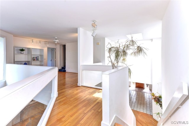 dining space featuring light wood-type flooring and ceiling fan