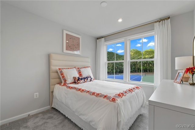 view of carpeted bedroom