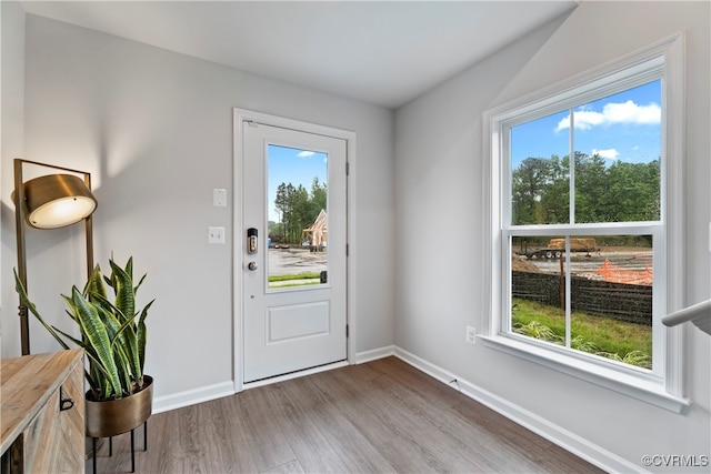 foyer entrance with wood-type flooring and a wealth of natural light