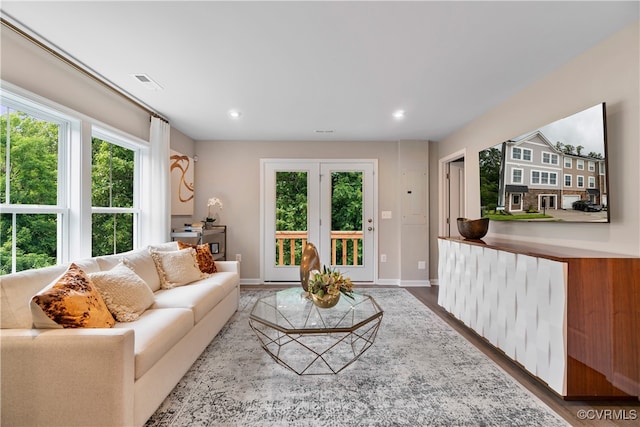 living room with hardwood / wood-style flooring and a healthy amount of sunlight