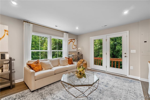 living room featuring a wealth of natural light and wood-type flooring