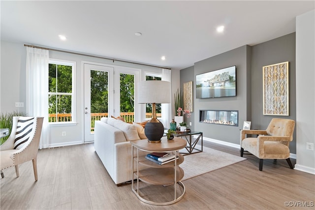 living room featuring light hardwood / wood-style flooring