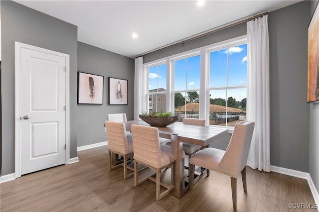 dining space featuring light hardwood / wood-style floors