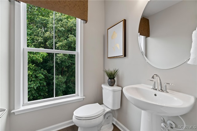 bathroom with sink, toilet, and a wealth of natural light