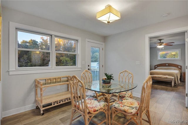 dining area with ceiling fan, a healthy amount of sunlight, and wood-type flooring