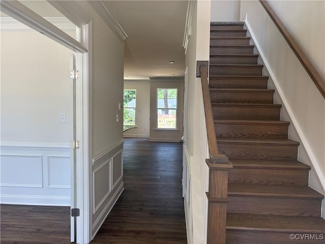 2050 Swiss Ln, Hayes, VA 23072 - stairway with wood finished floors, ornamental molding, wainscoting, and a decorative wall