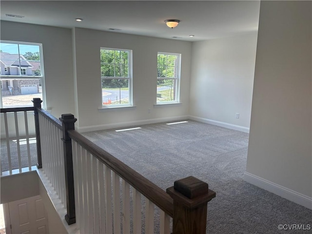 2050 Swiss Ln, Hayes, VA 23072 - unfurnished room with carpet and healthy amount of natural light